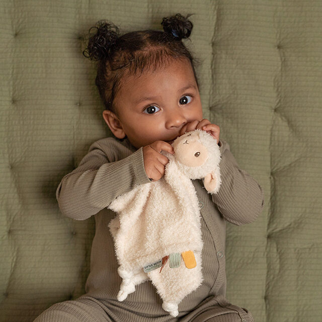 Little Dutch mīļlupatiņa aitiņa ´Little Farm´